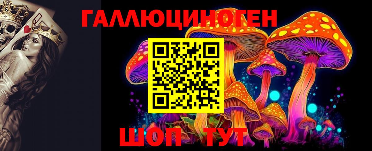 Галлюциногенные грибы MAGIC MUSHROOMS Алатырь